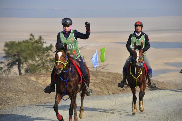鄱阳湖马术耐力赛第三站落下帷幕，近两百对人